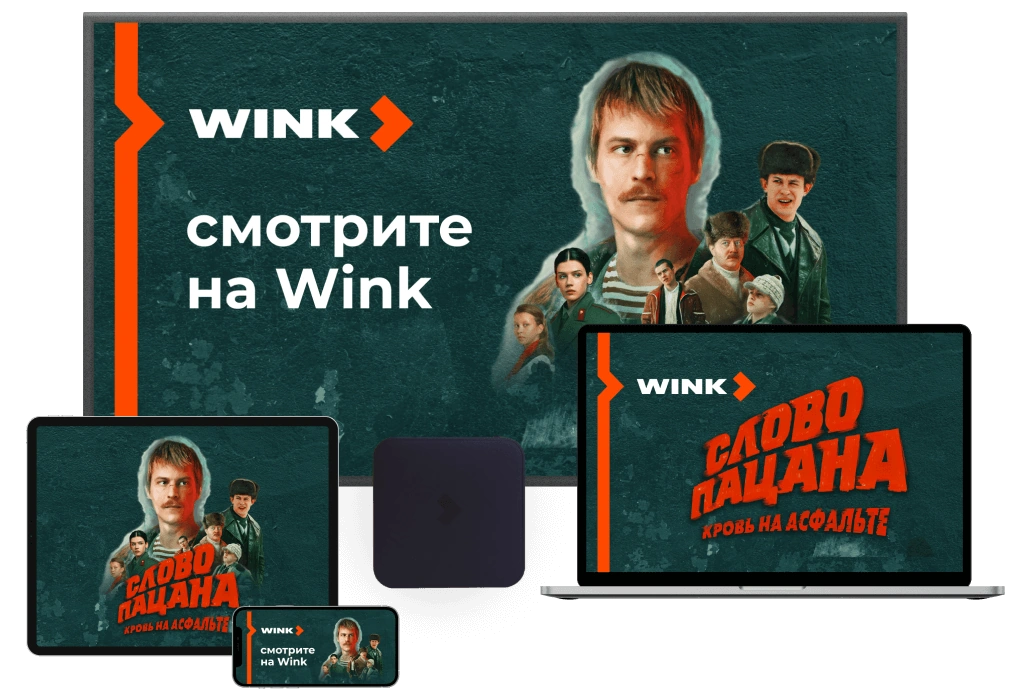 Wink %provider2% в деревня Плешки